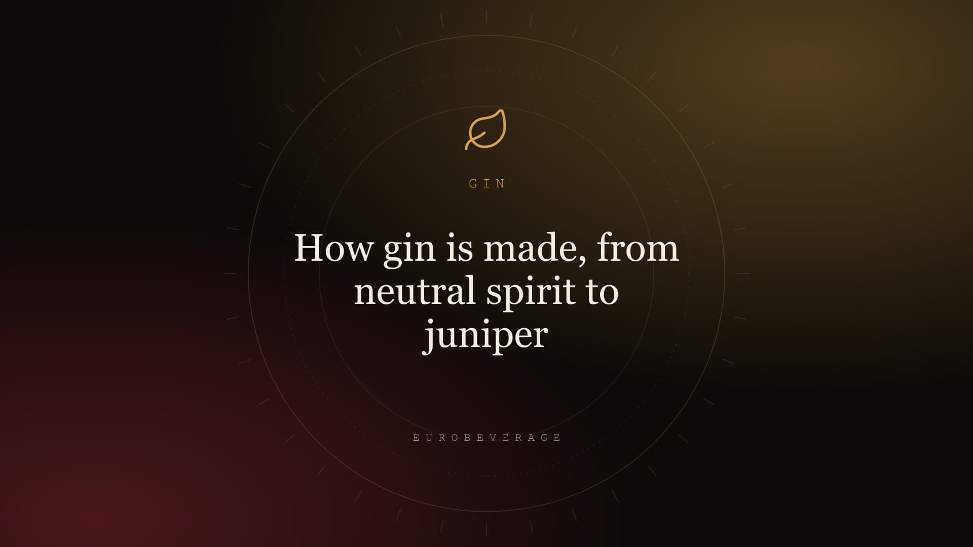 How gin is made, from neutral spirit to juniper: EuroBeverage cover in amber type on dark oak